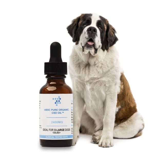 CBD For Dogs By Abscorganics-The Ultimate CBD for Canines Comprehensive Evaluation